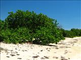 Playa Sucia - CABO ROJO